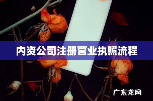 内资公司注册营业执照流程