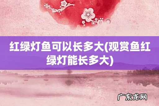 观赏鱼红绿灯能长多大 红绿灯鱼可以长多大