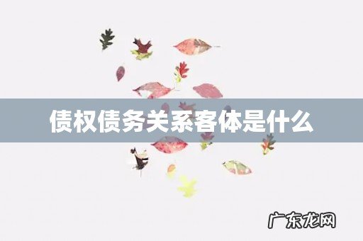 债权债务关系客体是什么