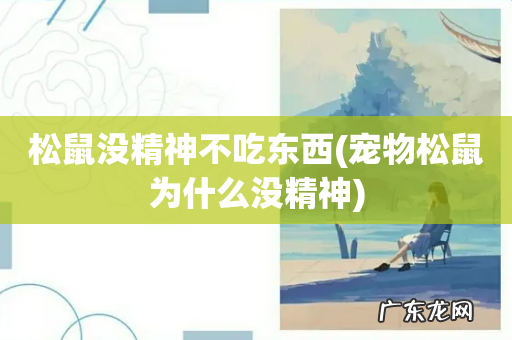 宠物松鼠为什么没精神 松鼠没精神不吃东西