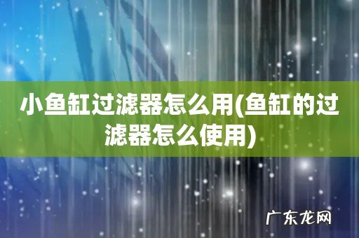 鱼缸的过滤器怎么使用 小鱼缸过滤器怎么用