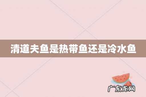 清道夫鱼是热带鱼还是冷水鱼