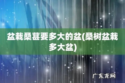 桑树盆栽多大盆 盆栽桑葚要多大的盆