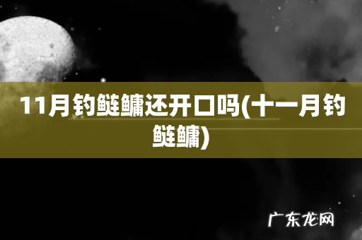 十一月钓鲢鳙 11月钓鲢鳙还开口吗