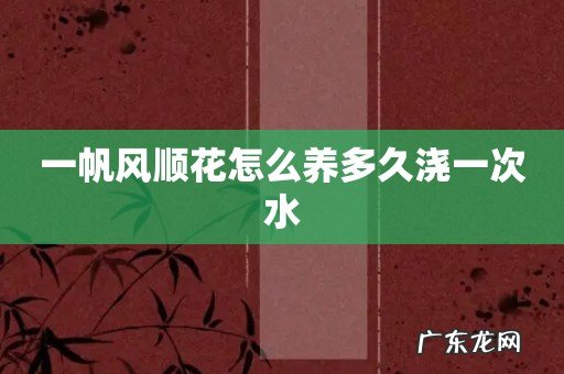 一帆风顺花怎么养多久浇一次水