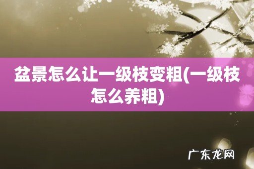一级枝怎么养粗 盆景怎么让一级枝变粗