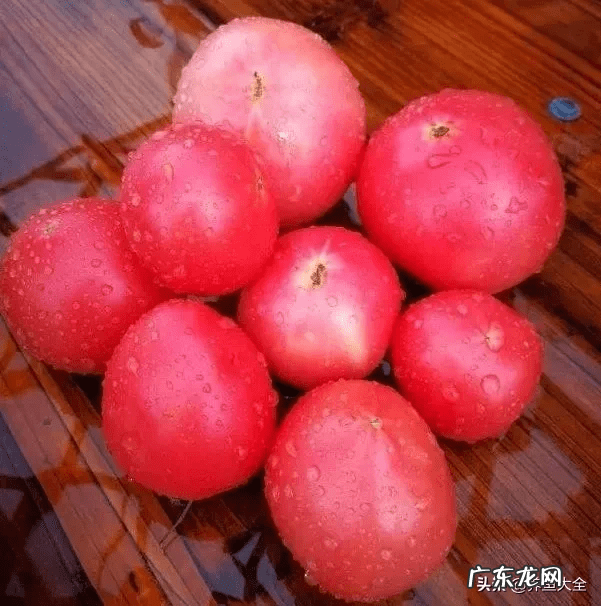 花园洋房顶楼露台好吗 顶跃带露台还是一楼带花园好