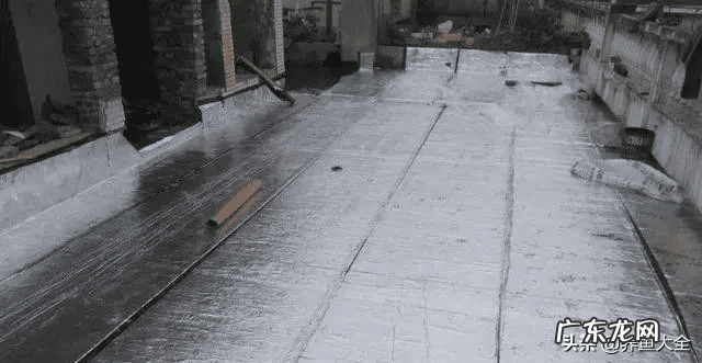 花园洋房顶楼露台好吗 顶跃带露台还是一楼带花园好