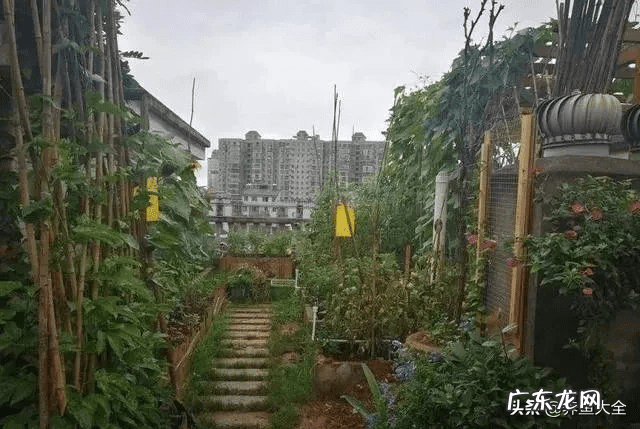 花园洋房顶楼露台好吗 顶跃带露台还是一楼带花园好