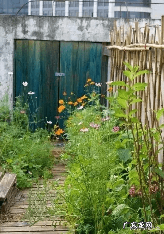 花园洋房顶楼露台好吗 顶跃带露台还是一楼带花园好