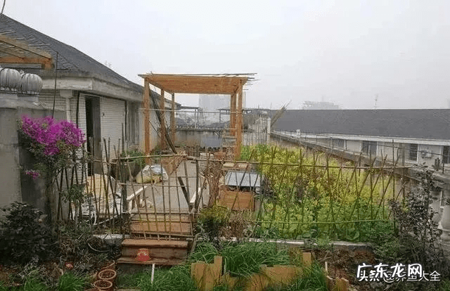 花园洋房顶楼露台好吗 顶跃带露台还是一楼带花园好