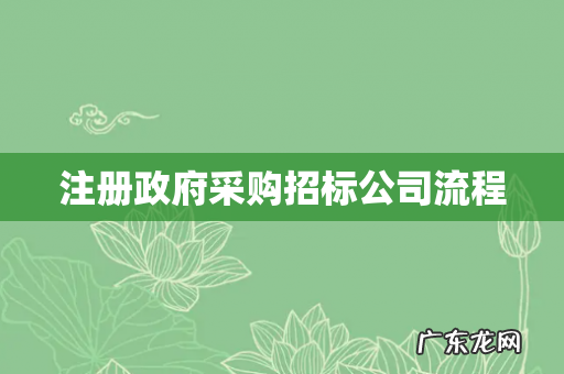 注册政府采购招标公司流程