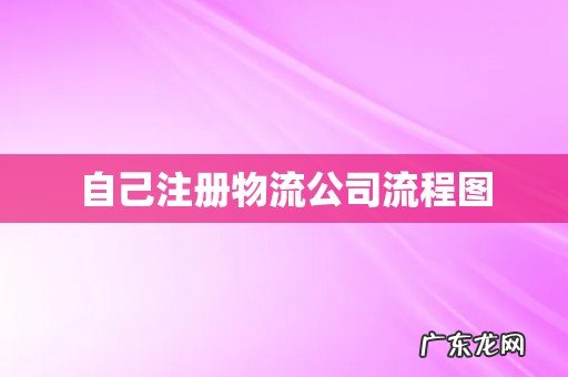 自己注册物流公司流程图