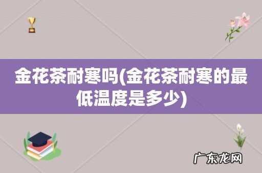 金花茶耐寒的最低温度是多少 金花茶耐寒吗