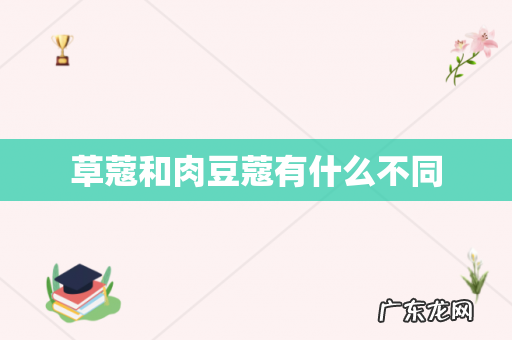 草蔻和肉豆蔻有什么不同