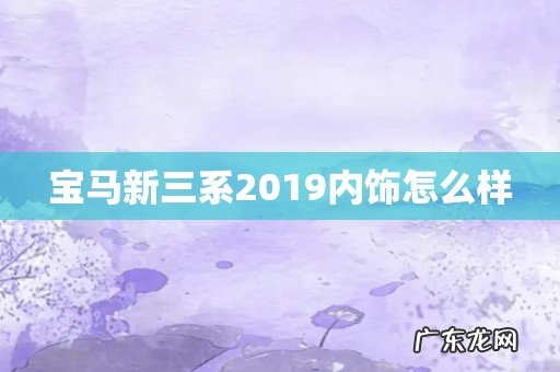 宝马新三系2019内饰怎么样