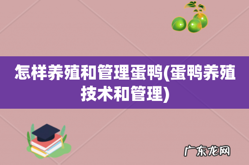 蛋鸭养殖技术和管理 怎样养殖和管理蛋鸭