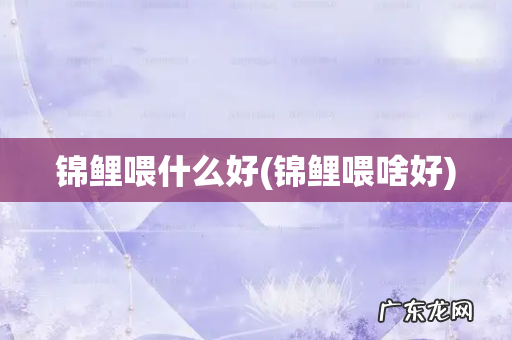 锦鲤喂啥好 锦鲤喂什么好