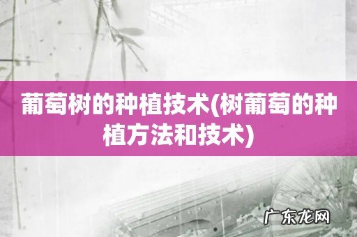 树葡萄的种植方法和技术 葡萄树的种植技术