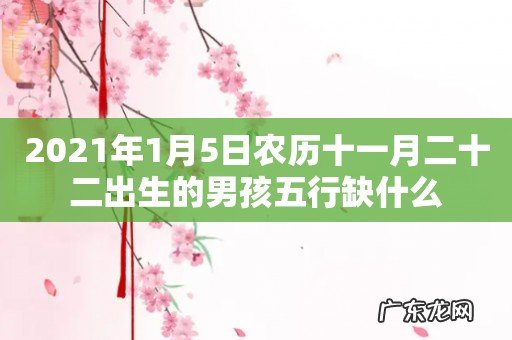 2021年1月5日农历十一月二十二出生的男孩五行缺什么