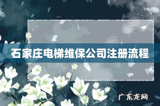 石家庄电梯维保公司注册流程