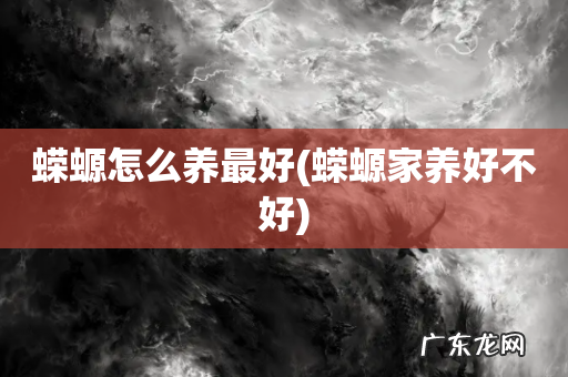 蝾螈家养好不好 蝾螈怎么养最好