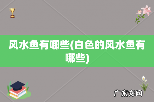 白色的风水鱼有哪些 风水鱼有哪些