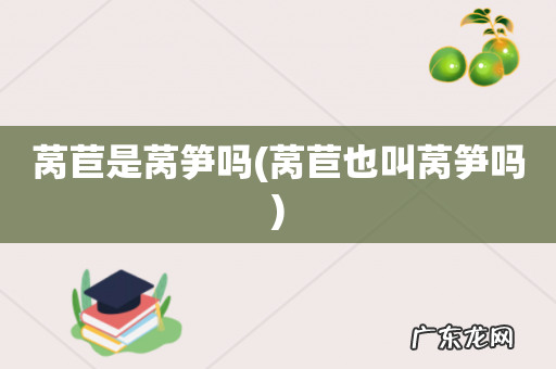 莴苣也叫莴笋吗 莴苣是莴笋吗