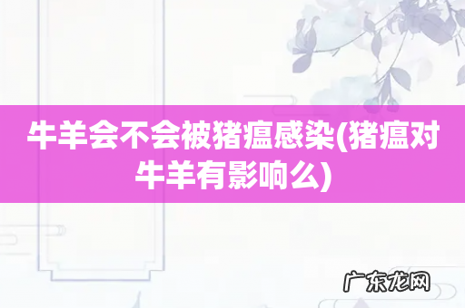 猪瘟对牛羊有影响么 牛羊会不会被猪瘟感染