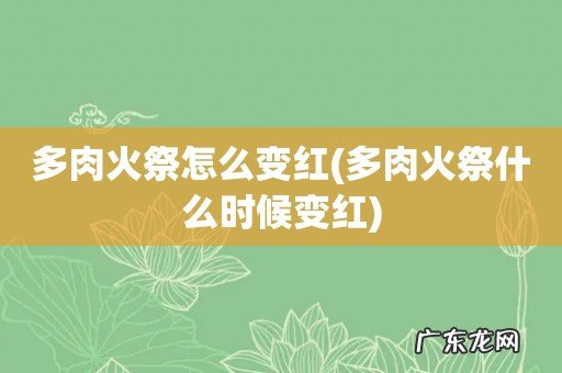 多肉火祭什么时候变红 多肉火祭怎么变红