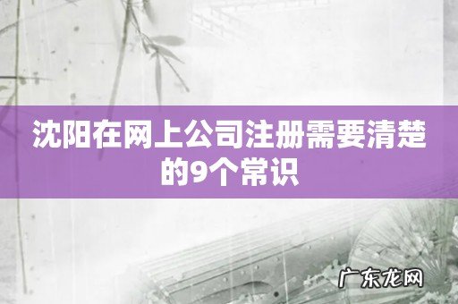 沈阳在网上公司注册需要清楚的9个常识