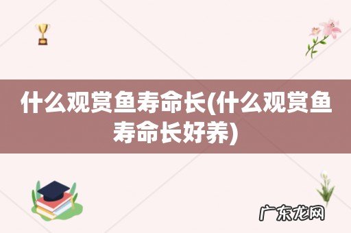 什么观赏鱼寿命长好养 什么观赏鱼寿命长