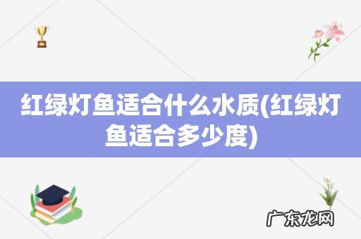 红绿灯鱼适合多少度 红绿灯鱼适合什么水质