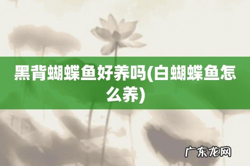 白蝴蝶鱼怎么养 黑背蝴蝶鱼好养吗