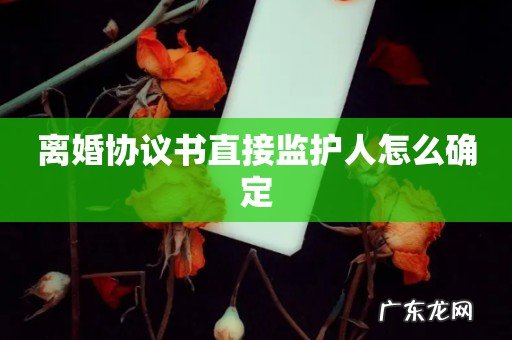 离婚协议书直接监护人怎么确定