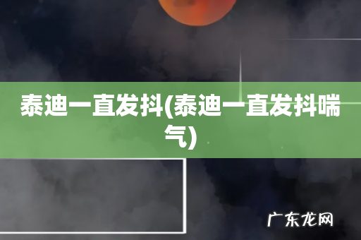 泰迪一直发抖喘气 泰迪一直发抖