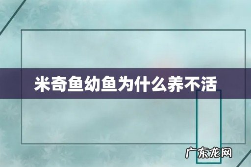 米奇鱼幼鱼为什么养不活