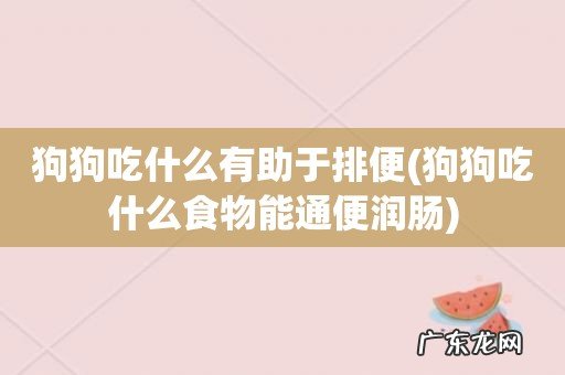 狗狗吃什么食物能通便润肠 狗狗吃什么有助于排便