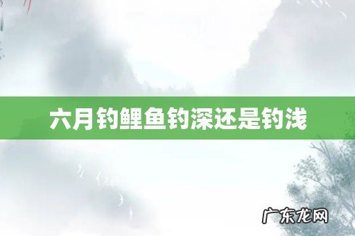六月钓鲤鱼钓深还是钓浅