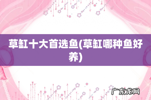 草缸哪种鱼好养 草缸十大首选鱼