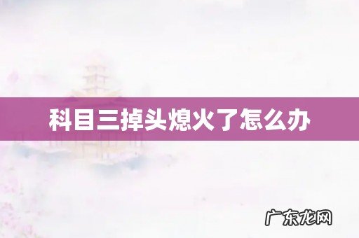 科目三掉头熄火了怎么办