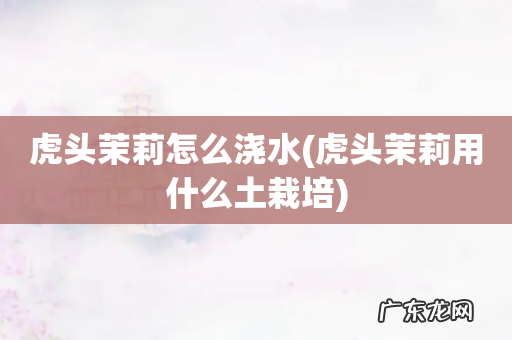 虎头茉莉用什么土栽培 虎头茉莉怎么浇水