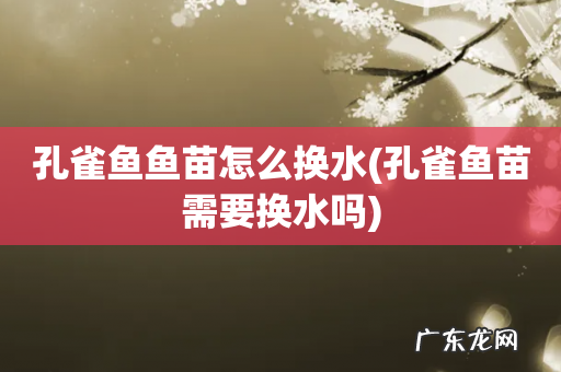 孔雀鱼苗需要换水吗 孔雀鱼鱼苗怎么换水
