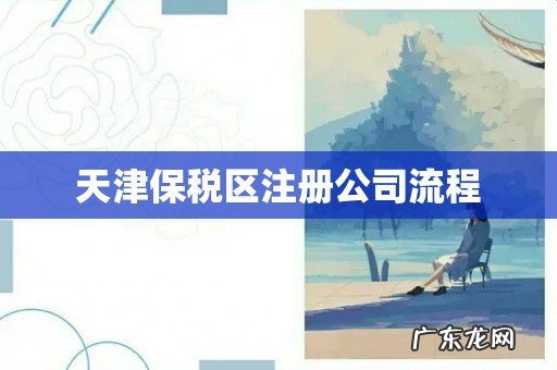 天津保税区注册公司流程