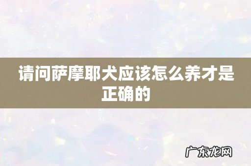 请问萨摩耶犬应该怎么养才是正确的