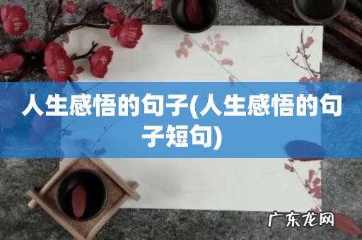 人生感悟的句子短句 人生感悟的句子