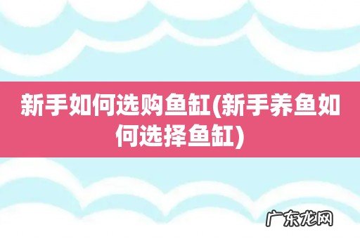 新手养鱼如何选择鱼缸 新手如何选购鱼缸