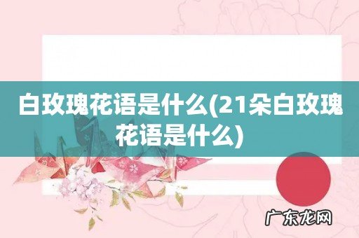 21朵白玫瑰花语是什么 白玫瑰花语是什么