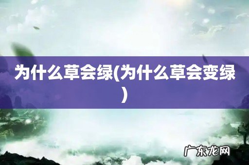 为什么草会变绿 为什么草会绿