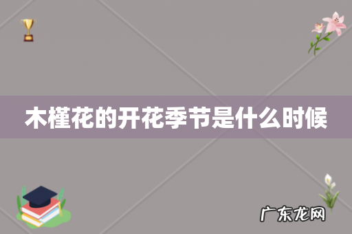 木槿花的开花季节是什么时候